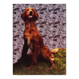 Irish Setter and Patterned Concrete Wall Poster