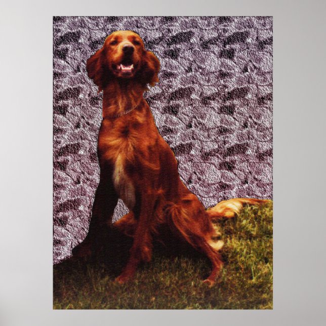 Irish Setter and Patterned Concrete Wall Poster (Front)