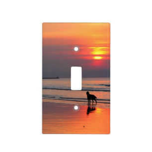 Irish Setter and Sunset on the Irish Sea Light Switch Cover