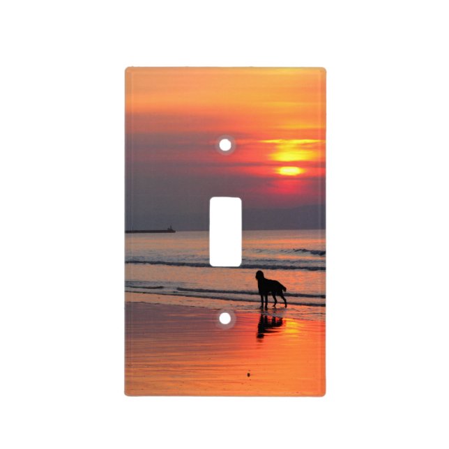 Irish Setter and Sunset on the Irish Sea Light Switch Cover (Front)
