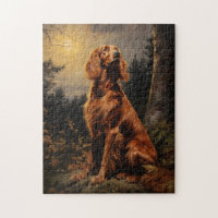 Irish Setter at night