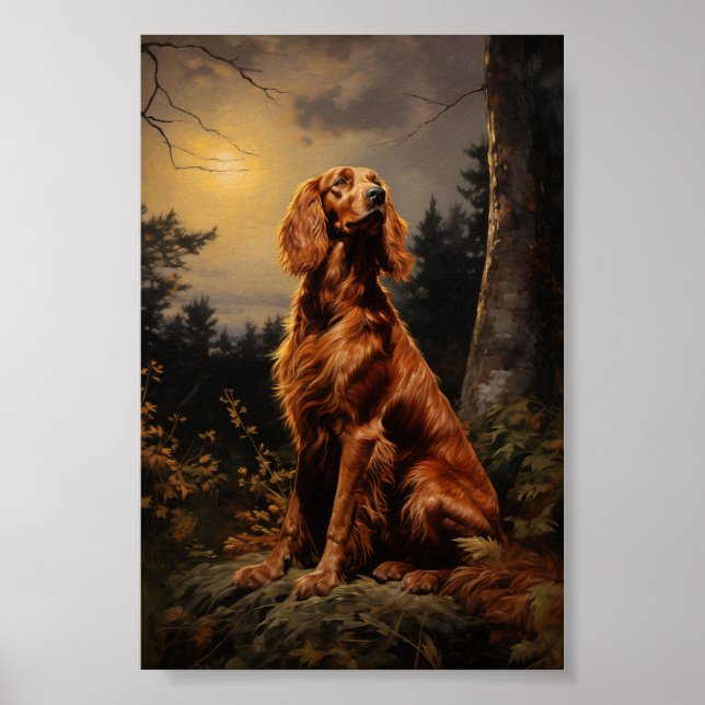 Irish Setter at night Poster (Front)
