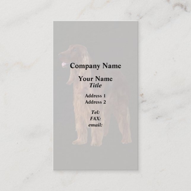 Irish Setter Business Card (Front)