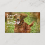 Irish Setter Business Card