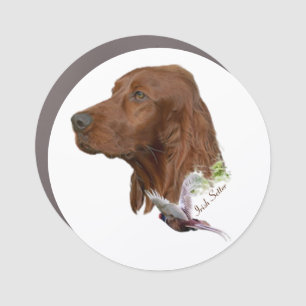 Irish Setter   Car Magnet