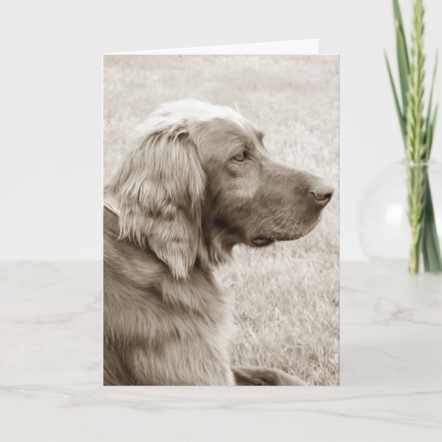 Irish Setter Card (Front)