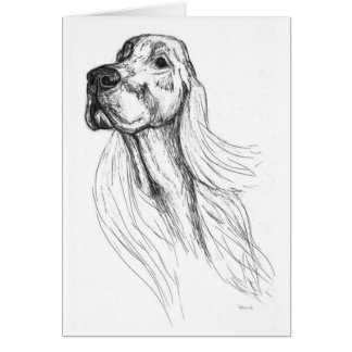 Irish Setter Cards