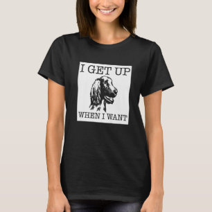 Irish Setter  dog    1 T-Shirt