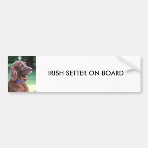 Irish Setter dog beautiful photo custom gift Bump Bumper Sticker