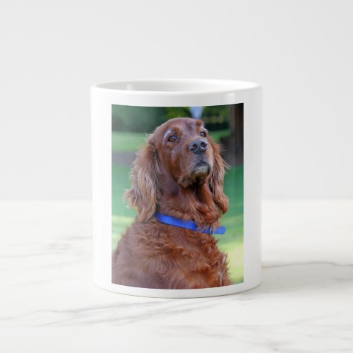 Irish Setter dog beautiful photo portrait gift Large Coffee Mug