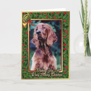 Irish Setter Dog Blank Christmas Card