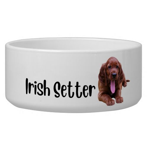 Irish Setter _ dog bowl by breed 