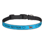 Irish Setter Dog Collar