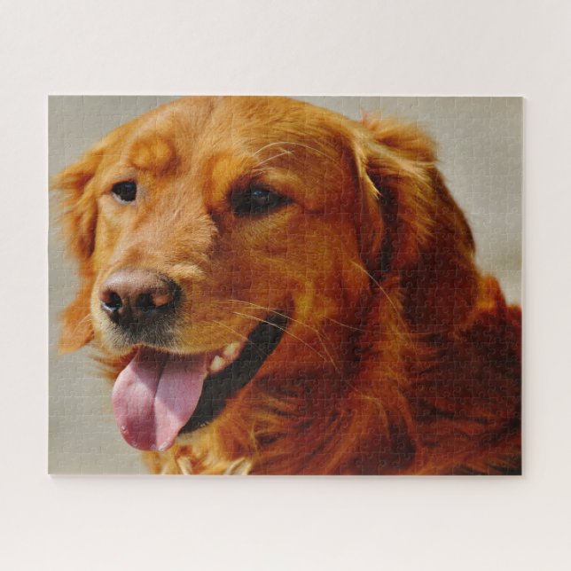 Irish Setter Dog. Jigsaw Puzzle (Horizontal)