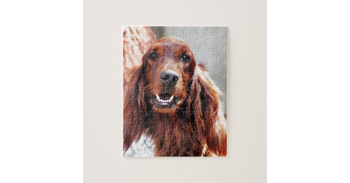 https://rlv.zcache.com/irish_setter_dog_jigsaw_puzzle-ra4dc61ac23784b90bda55cdcb4ad098a_ambtl_8byvr_630.jpg?view_padding=%5B285%2C0%2C285%2C0%5D