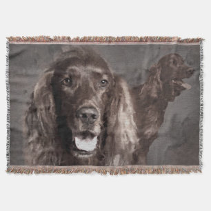 Irish Setter Dogs Digital Art Throw Blanket