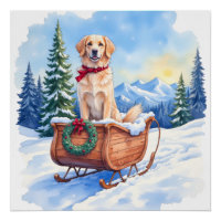 Irish Setter Enjoying Christmas Sleigh Ride Winter