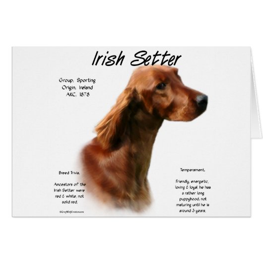 Irish Setter History Design Cards (Front Horizontal)