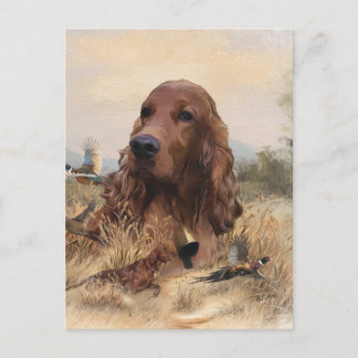 Irish Setter Hunting Pheasant ,Art Postcard