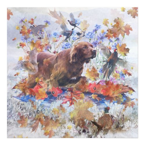 Irish Setter hunting    Photo Print