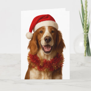 Irish Setter in a Santa hat Christmas card