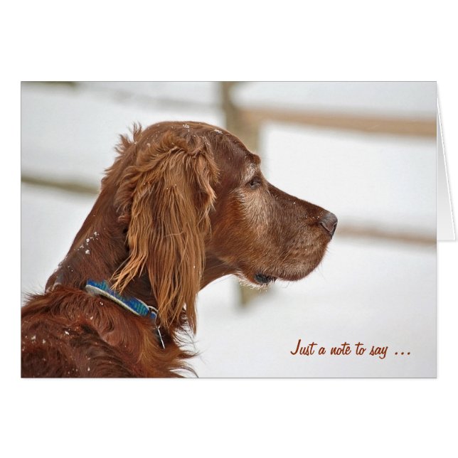 Irish Setter in winter thinking of you Cards (Front Horizontal)
