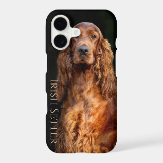 Irish Setter iPhone / iPad case