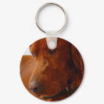 Irish Setter Keychain