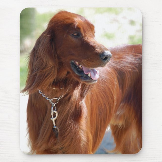 Irish Setter Mousepad (Front)