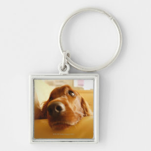 Irish Setter on sofa Keychain