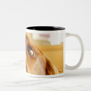 Irish Setter on sofa Two-Tone Coffee Mug