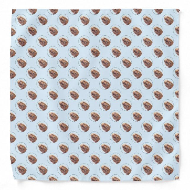Irish Setter Painting - Cute Original Dog Art Bandana (Front)