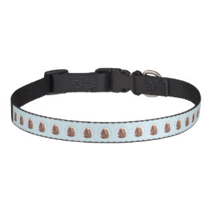 Irish Setter Painting - Cute Original Dog Art Pet Collar