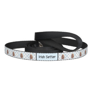 Irish Setter Painting - Cute Original Dog Art Pet Leash