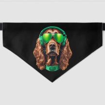 Irish Setter 