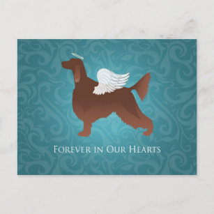 Irish Setter Pet Memorial Angel Dog Design Postcard