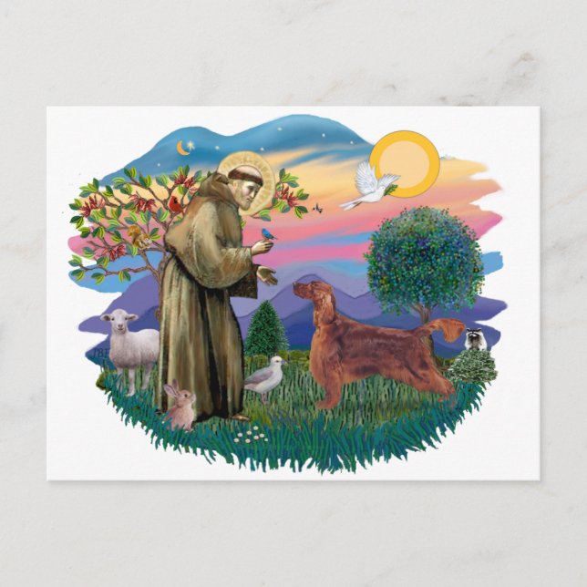 Irish Setter Postcard (Front)