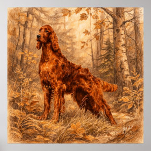Irish Setter, Poster