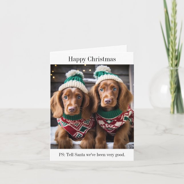 Irish Setter Puppies Christmas Card (Front)