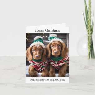 Irish Setter Puppies Christmas Card