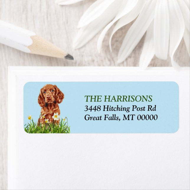 Irish Setter Puppy Daffodil Garden Return Address Label (Insitu)