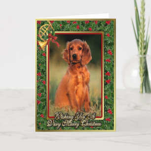 Irish Setter Puppy Dog Blank Christmas Card