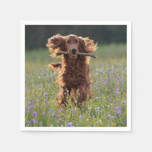Irish Setter Running with a Stick Napkins