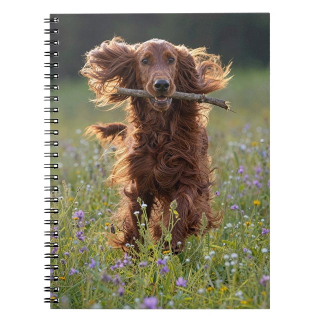Irish Setter Running with a Stick Notebook (Front)