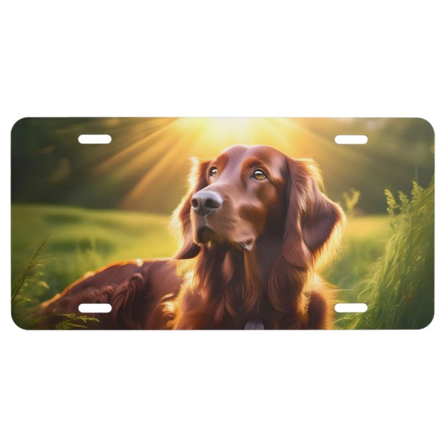 IRISH SETTER SETTING SUN LICENSE PLATE (Front)
