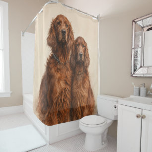 Irish Setter Shower Curtain