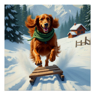 Irish Setter Sledding Adventure Christmas Painting Poster
