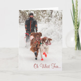 Irish Setter Sleddog Christmas Card