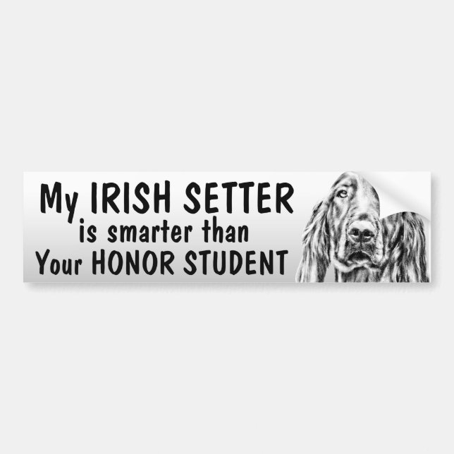 Irish Setter - Smarter than honor student - funny Bumper Sticker (Front)