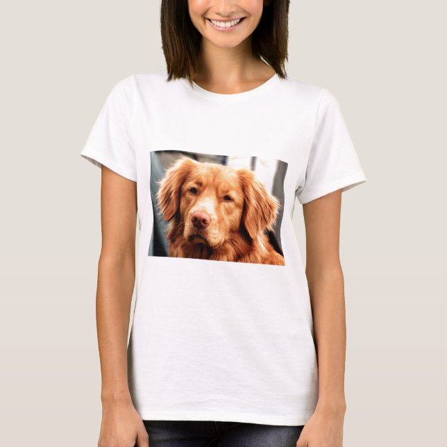 Irish Setter T-Shirt (Front)